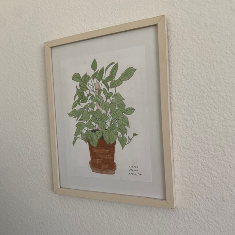 Original Art Philodendron "Little Mama" April‎ 2016 Pencil Drawing Framed - Picture 10 of 10